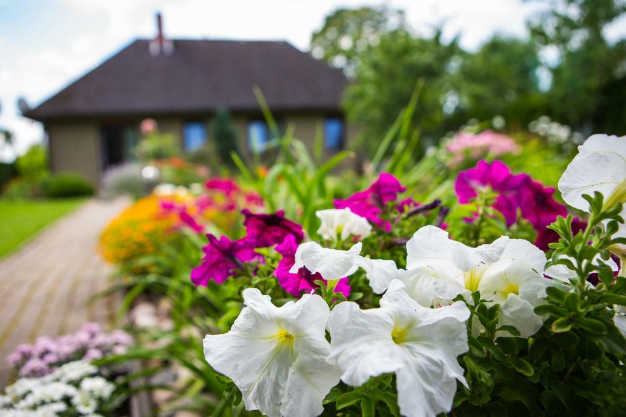 Guests House "Like Home" Sigulda Exterior photo